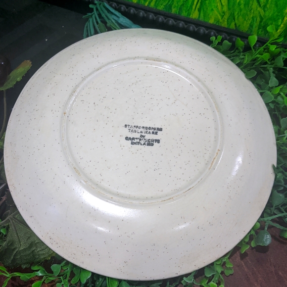 Staffordshire tableware small pottery plate - Picture 3 of 4